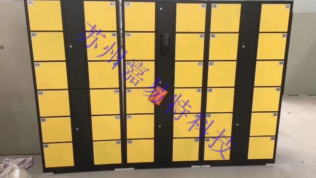 電子存儲(chǔ)柜對(duì)未來(lái)發(fā)展方向的規(guī)劃